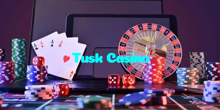 available types of Tusk Casino bet including pre-match live express and system bets